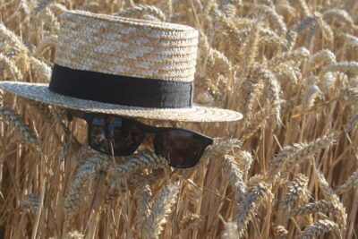 Agrandir l'image 7 sur 8, fenêtre modale