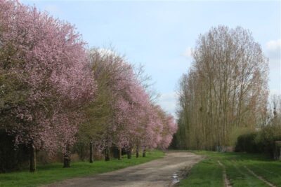 Agrandir l'image 6 sur 8, fenêtre modale