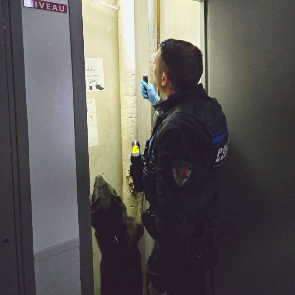 Agrandir l'image, fenêtre modale