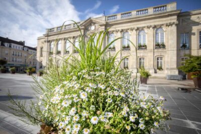 Agrandir l'image 2 sur 2, fenêtre modale