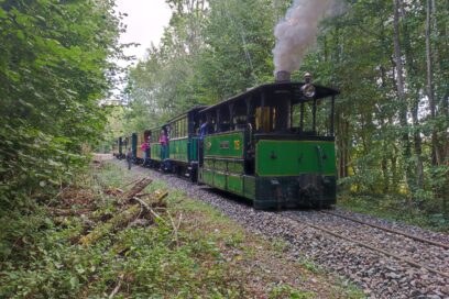 Train historique du M.T.V.S en circulation - Agrandir l'image, fenêtre modale