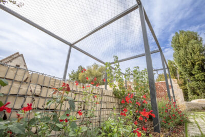 Agrandir l'image 3 sur 14, fenêtre modale