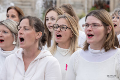 Agrandir l'image 2 sur 8, fenêtre modale