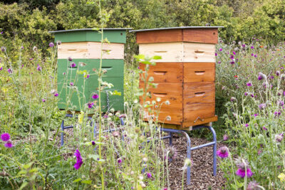 Agrandir l'image 7 sur 9, fenêtre modale