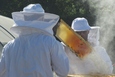 Agrandir l'image 6 sur 9, fenêtre modale