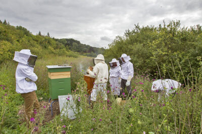Agrandir l'image 5 sur 9, fenêtre modale