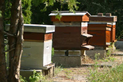 Agrandir l'image 4 sur 9, fenêtre modale