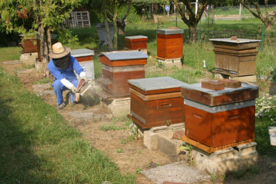 Agrandir l'image 3 sur 9, fenêtre modale