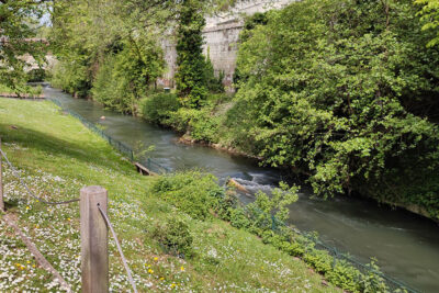 Agrandir l'image 5 sur 6, fenêtre modale