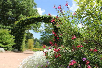 Agrandir l'image 5 sur 5, fenêtre modale