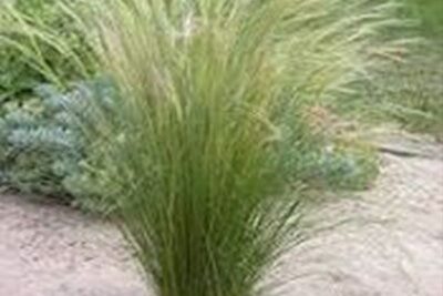 Agrandir l'image 5 sur 6, fenêtre modale