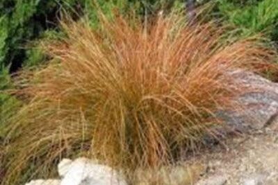 Agrandir l'image 2 sur 6, fenêtre modale