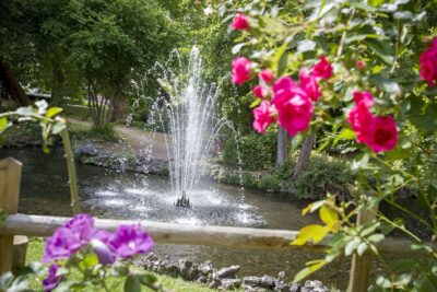 Agrandir l'image 1 sur 9, fenêtre modale