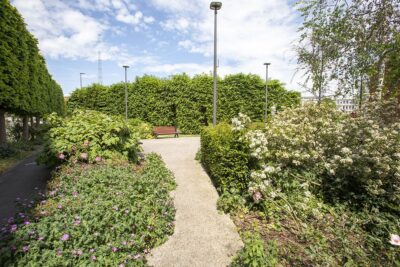 Agrandir l'image 9 sur 9, fenêtre modale