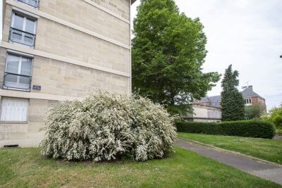 Agrandir l'image 3 sur 9, fenêtre modale