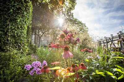 Agrandir l'image 7 sur 9, fenêtre modale