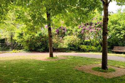 Agrandir l'image 2 sur 9, fenêtre modale