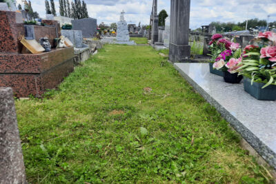 Agrandir l'image 1 sur 6, fenêtre modale