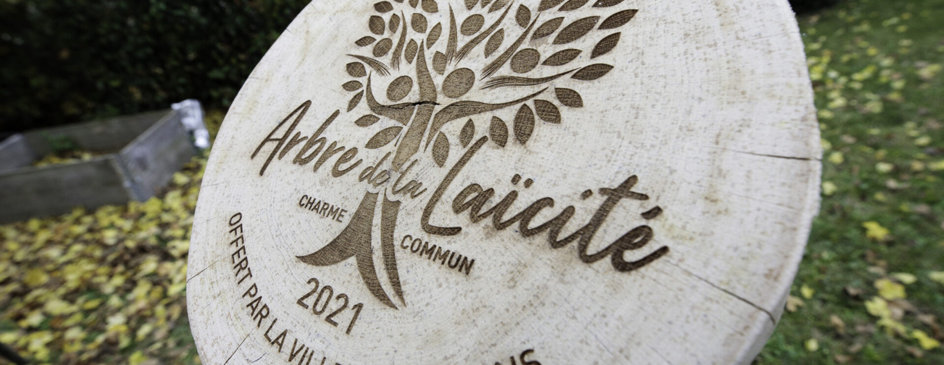 Arbres de la laïcité