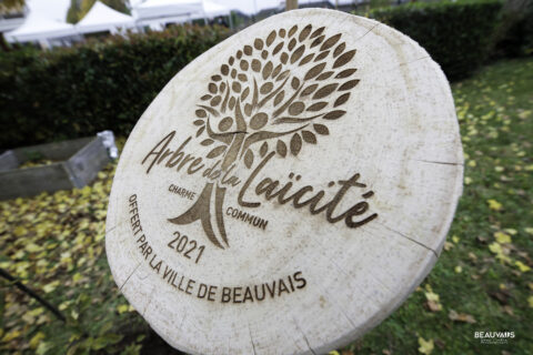 Arbres de la laïcité