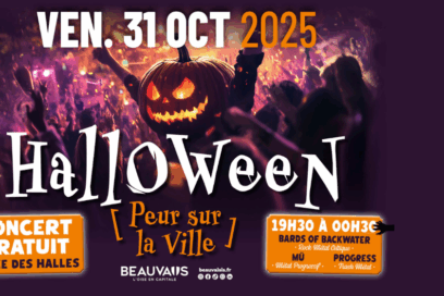 Page d'accueil - Agrandir l'image, fenêtre modale