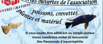 Portes ouvertes de l'Association Beauvaisienne d'Aquariophilie samedi 11 octobre 2025 à Beauvais