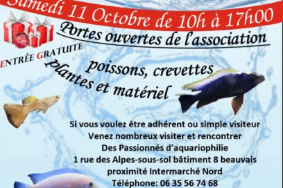 Portes ouvertes de l'Association Beauvaisienne d'Aquariophilie samedi 11 octobre 2025 à Beauvais - Agrandir l'image, fenêtre modale