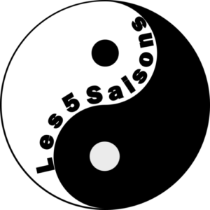 Association de QI GONG – TAÏCHI CHUAN – MÉDITATION