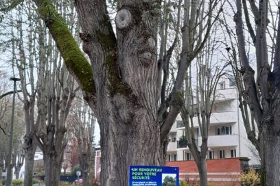 Agrandir l'image, fenêtre modale