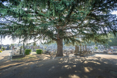 Agrandir l'image 5 sur 6, fenêtre modale