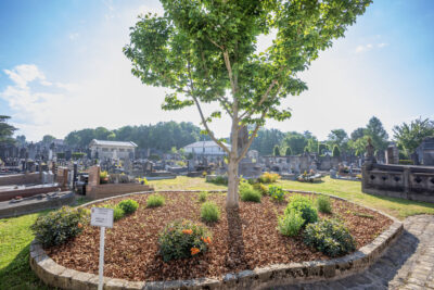 Agrandir l'image 6 sur 6, fenêtre modale