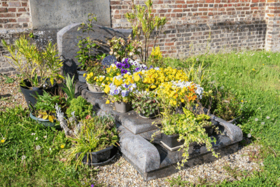 Agrandir l'image 5 sur 6, fenêtre modale