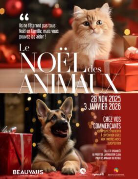 Le Noël des animaux du 28 novembre 2025 au 3 janvier 2026 chez vos commerçants à Beauvais