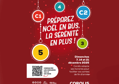 Préparez Noël en bus, la sérénité en plus ! - Agrandir l'image, fenêtre modale