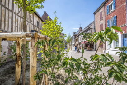 Agrandir l'image, fenêtre modale