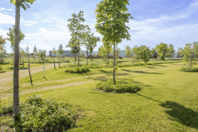 Agrandir l'image 5 sur 6, fenêtre modale