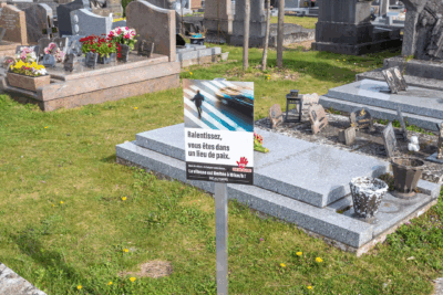 Agrandir l'image 5 sur 6, fenêtre modale