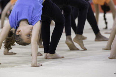 Agrandir l'image 7 sur 13, fenêtre modale