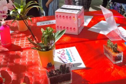 Agrandir l'image, fenêtre modale