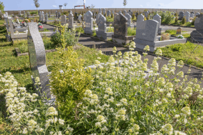 Agrandir l'image 4 sur 6, fenêtre modale