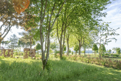 Agrandir l'image 6 sur 6, fenêtre modale