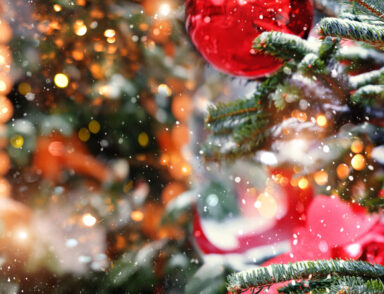 Les festivités de Noël dans l'Agglo