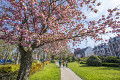 Agrandir l'image 3 sur 3, fenêtre modale