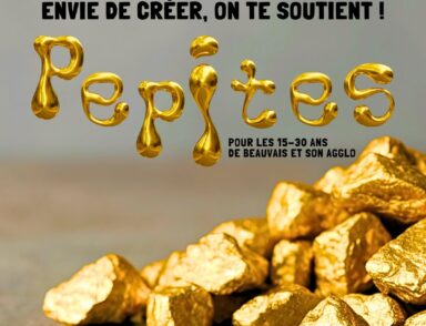 Cette image est une affiche publicitaire pour un programme d'accompagnement artistique intitulé « Pépites ».