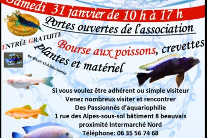 Portes ouvertes de l'Association Beauvaisienne d'Aquariophilie samedi 31 janvier 2026 à Beauvais - Agrandir l'image, fenêtre modale