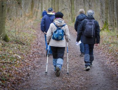 Chaque année, la balade en forêt de Hez-Froidmont attire des milliers de participants. Amoureux de la forêt et passionnés de randonnées ont rendez-vous le dimanche 1er mars à la Neuville-en-Hez, à partir de 8h30, pour la 43ème édition de cette balade annuelle.