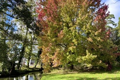 Hermès obtient la 2e fleur du label Villes et Villages Fleuris - Agrandir l'image, fenêtre modale