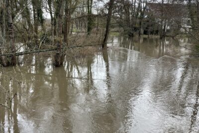 Agrandir l'image 1 sur 3, fenêtre modale