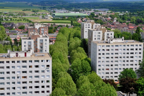Allée ombragée et végétalisée bordée d'immeubles dans le quartier Saint-Lucien.