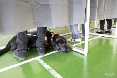 Agrandir l'image 22 sur 26, fenêtre modale